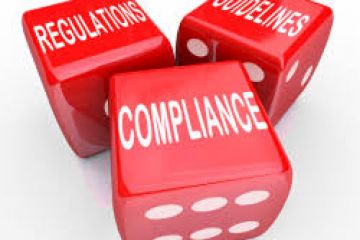 Fleet Compliance Audit Reports